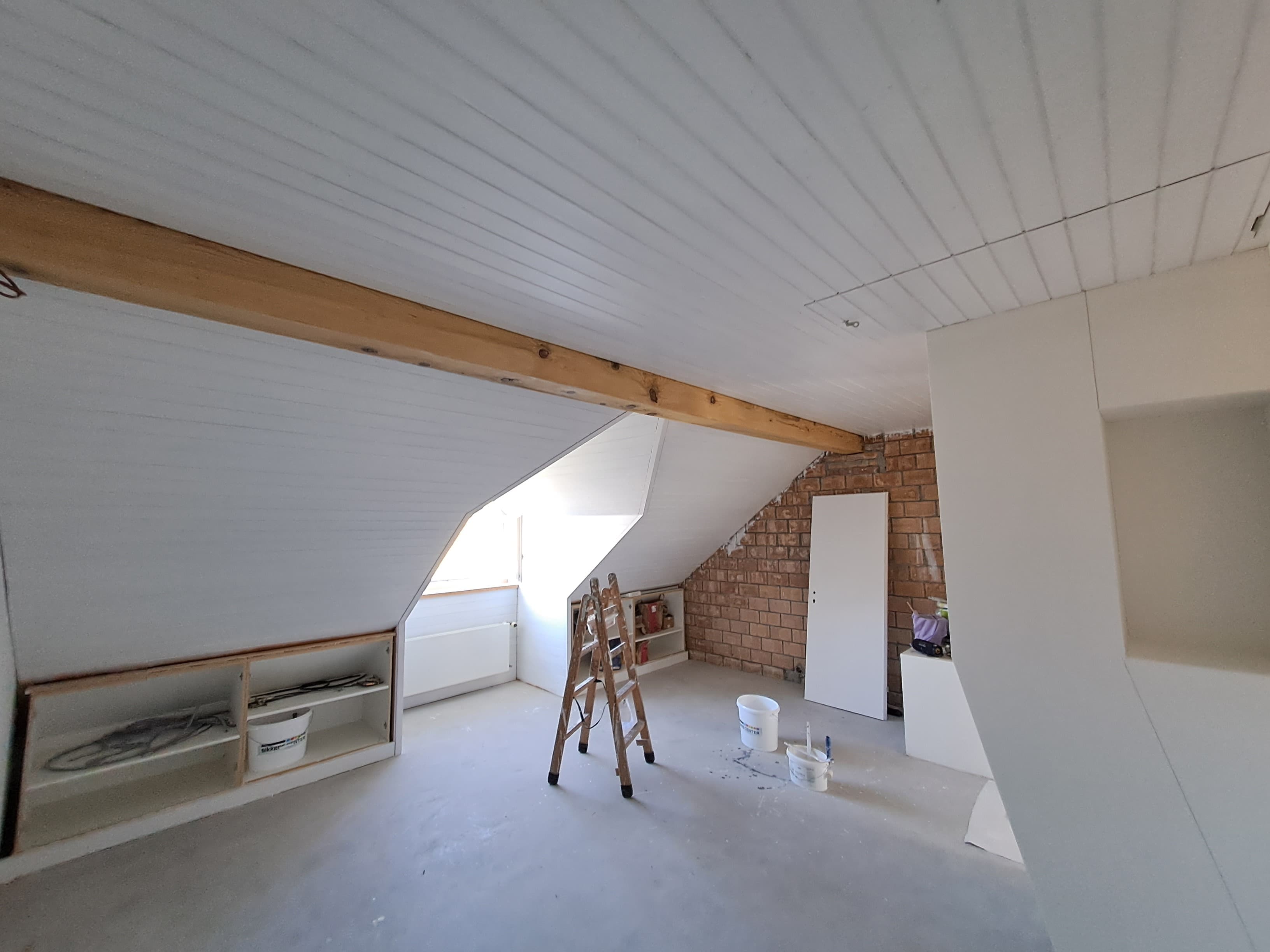 Schimmelpilzbehandlung